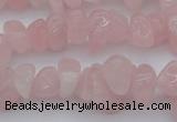 CCH654 15.5 inches 8*12mm - 10*14mm rose quartz chips beads