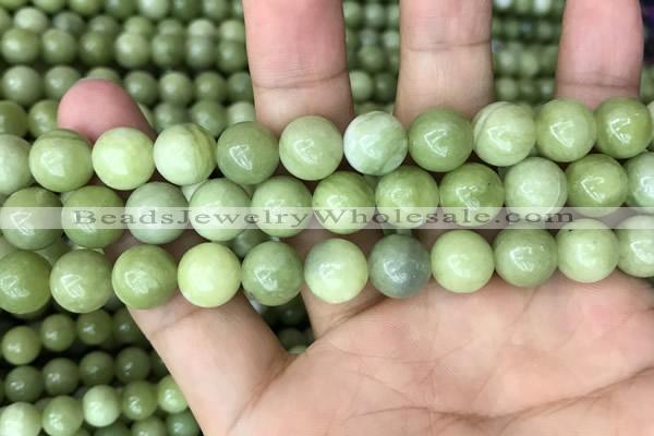 CCJ313 15.5 inches 10mm round China jade beads wholesale