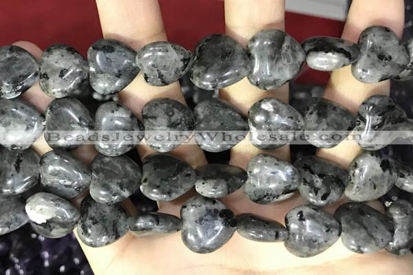 CCN5963 15 inches 14*14mm heart black labradorite beads Wholesale