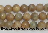 CCS304 15.5 inches 10mm round natural sunstone beads wholesale