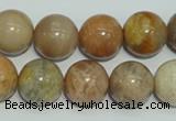 CCS307 15.5 inches 16mm round natural sunstone beads wholesale