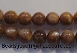 CCS353 15.5 inches 10mm round AB grade natural golden sunstone beads