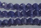 CCT347 15 inches 5mm faceted round cats eye beads wholesale