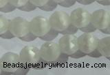 CCT351 15 inches 6mm faceted round cats eye beads wholesale