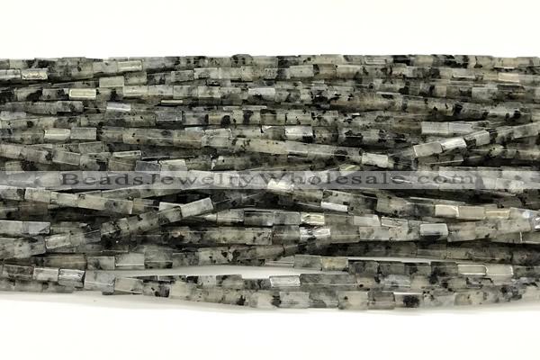 CCU1114 15 inches 2*4mm cuboid black labradorite beads