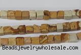 CCU29 15.5 inches 5*5mm cube picture jasper beads wholesale