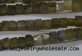 CCU311 15.5 inches 4*4mm cube labradorite beads wholesale