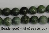 CDJ14 15.5 inches 10mm round Canadian jade beads wholesale