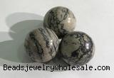 CDN1149 30mm round zebra jasper decorations wholesale