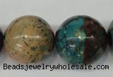 CDS29 15.5 inches 24mm round dyed serpentine jasper beads