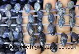 CDU221 Top drilled 8*12mm faceted briolette dumortierite beads