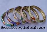 CEB14 5pcs 10mm width gold plated alloy with enamel bangles wholesale