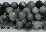 CEE21 15.5 inches 10mm faceted round eagle eye jasper beads wholesale