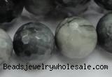 CEE25 15.5 inches 20mm faceted round eagle eye jasper beads wholesale