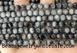 CEE541 15.5 inches 6mm round eagle eye jasper gemstone beads