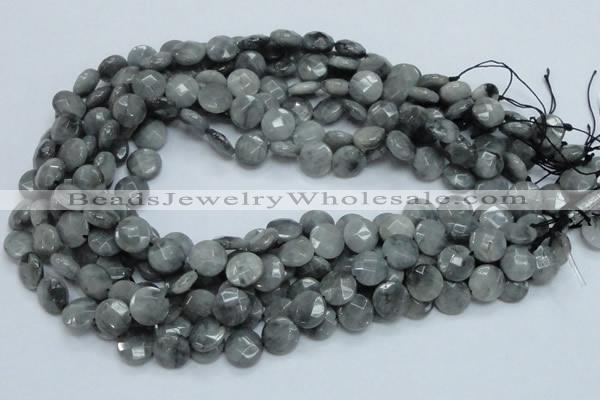 CEE57 15.5 inches 10mm faceted coin eagle eye jasper beads