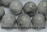 CEE61 15.5 inches 14mm round eagle eye jasper beads wholesale