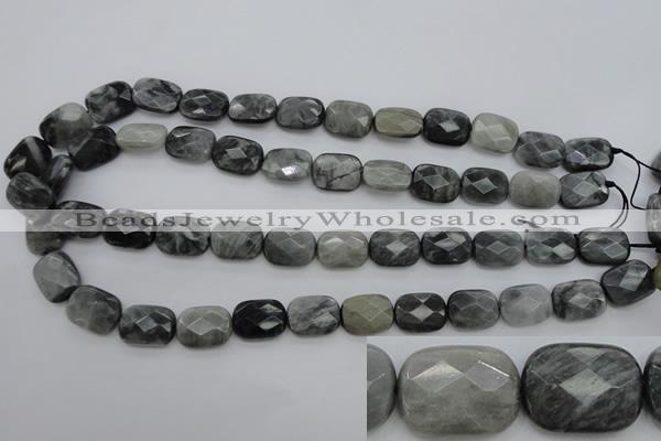 CEE81 15.5 inches 12*16mm faceted rectangle eagle eye jasper beads