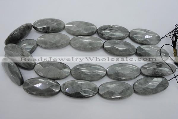 CEE85 15.5 inches 20*40mm faceted oval eagle eye jasper beads