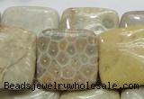 CFA18 15.5 inches 25*25mm square chrysanthemum agate beads