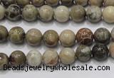 CFA26 15.5 inches 8mm round chrysanthemum agate gemstone beads