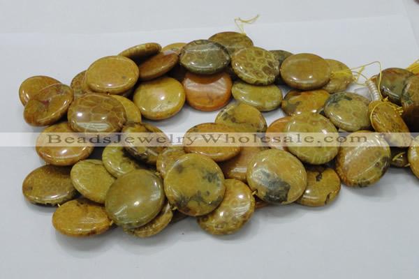 CFA45 15.5 inches 30mm flat round yellow chrysanthemum agate beads