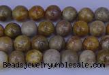 CFC200 15.5 inches 4mm round fossil coral beads wholesale