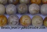 CFC203 15.5 inches 10mm round fossil coral beads wholesale