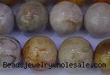 CFC205 15.5 inches 14mm round fossil coral beads wholesale