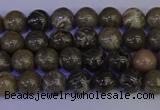 CFC210 15.5 inches 4mm round grey fossil coral beads wholesale