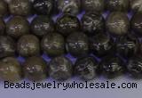 CFC211 15.5 inches 6mm round grey fossil coral beads wholesale