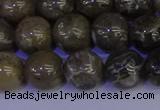 CFC214 15.5 inches 12mm round grey fossil coral beads wholesale