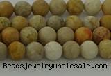 CFC221 15.5 inches 6mm round matte fossil coral beads wholesale