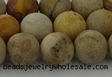 CFC224 15.5 inches 12mm round matte fossil coral beads wholesale