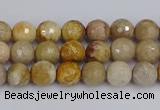 CFC228 15.5 inches 4mm faceted round fossil coral beads