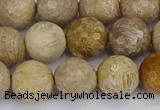 CFC231 15.5 inches 10mm faceted round fossil coral beads