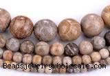 CFC55 15.5 inches round coral fossil jasper beads wholesale