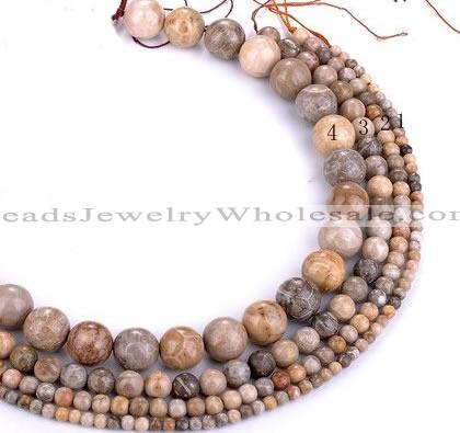 CFC55 15.5 inches round coral fossil jasper beads wholesale