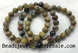 CGB2600 7.5 inches 9mm round natural pietersit beaded bracelets