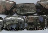 CGE03 15.5 inches 18*25mm rectangle glaucophane gemstone beads