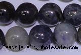 CIL05 15.5 inches 10mm round natural iolite gemstone beads