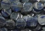 CKC02 16 inches 25mm flat round natural kyanite beads wholesale