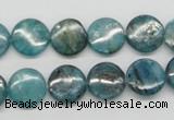 CKC22 16 inches 12mm flat round natural kyanite beads wholesale