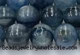 CKC771 15.5 inches 8mm round blue kyanite beads wholesale