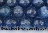 CKC791 15 inches 8mm round blue kyanite beads wholesale