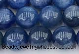 CKC794 15 inches 8mm round blue kyanite beads wholesale