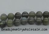 CLB100 15.5 inches 8mm round labradorite gemstone beads wholesale