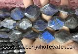 CLB1047 15.5 inches 18*22mm - 20*25mm faceted freeform labradorite beads