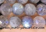 CLB1072 15.5 inches 6mm faceted round labradorite beads