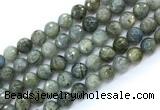 CLB1233 15.5 inches 10mm faceted round labradorite gemstone beads